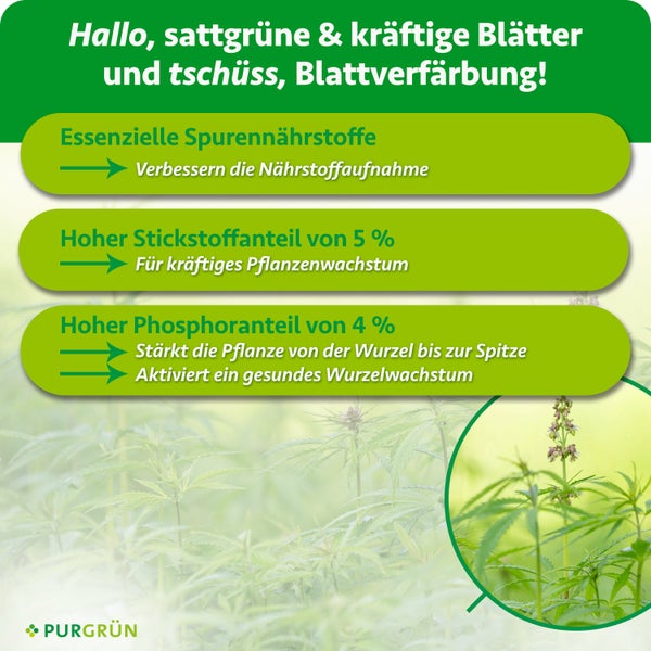 Infografik zum Purgruen Pflanzenduenger mit Informationen zu Inhaltsstoffen wie Spurennahhrstoffen, Stickstoff und Phosphor fuer kraeftiges Wachstum.