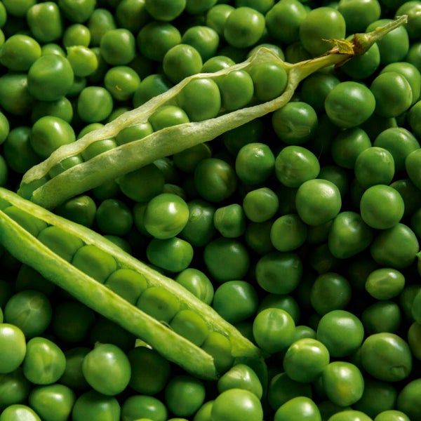 Grüne Erbsen und geöffnete Erbsenschoten.