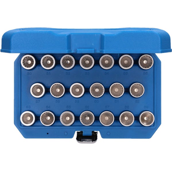 Sortiment von Schraubenschlüsseleinsätzen in einer blauen Aufbewahrungsbox