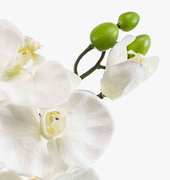 Künstliche Ficus-Pflanze mit naturgetreuen Blättern und verschlungenen Stämmen in einem schwarzen Topf.