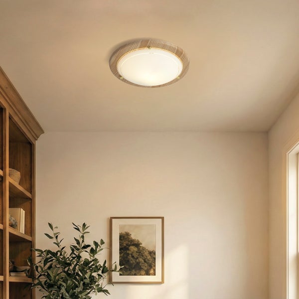 Runde Deckenleuchte mit Rahmen in Holzoptik in einem hellen Zimmer mit Bücherregal, Bild und Zimmerpflanze.