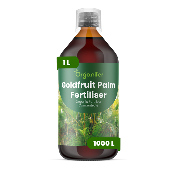 Vier Flaschen Organifer Goldfruit Palmdünger, organisches Düngerkonzentrat, insgesamt 4 Liter.