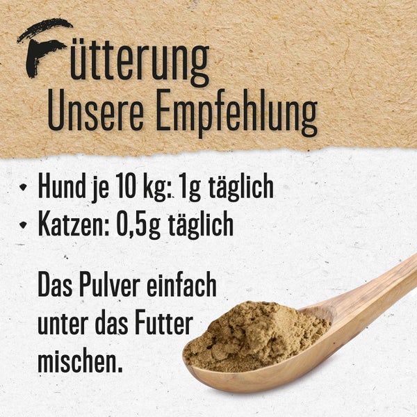 ALPHAZOO Grünlippmuschelpulver 750g für Hunde und Katzen I Vollfett Grünlippmuschel