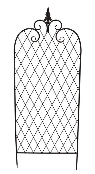 FRANK FLECHTWAREN | Rankgitter Raute, METALL, 45 x 115 cm