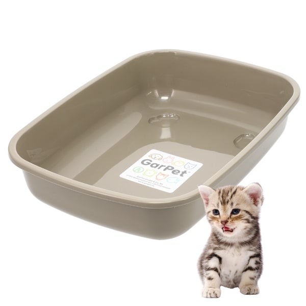 Beigefarbene offene Katzentoilette GarPet aus Kunststoff mit abgerundeten Ecken und einem kleinen Kätzchen.
