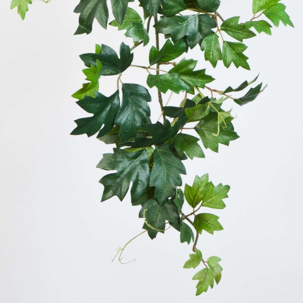 Künstliche Hängepflanze Cissus mit grünen Blättern.