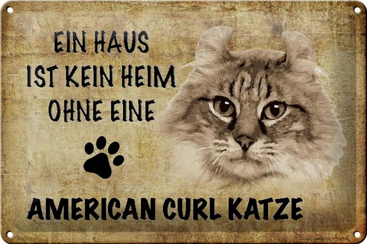 Blechschild Spruch 30x20cm American curl ohne kein Heim