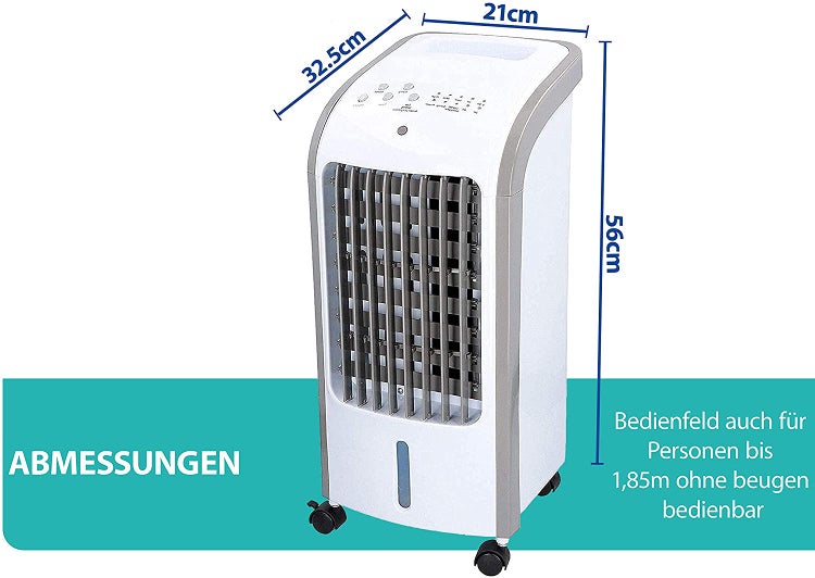 Blütenstand einer Hortensie mit weißen Blüten