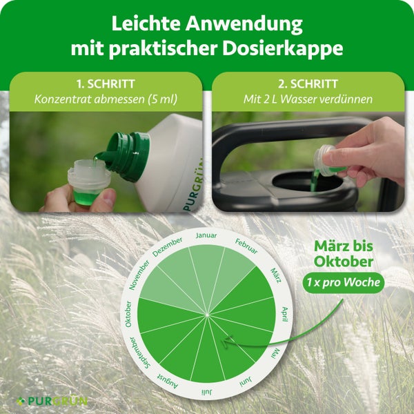 Infografik zur Anwendung: 5 Milliliter Konzentrat abmessen und mit 2 Liter Wasser verdünnen. Anwendung von März bis Oktober wöchentlich. Purgrün Logo.