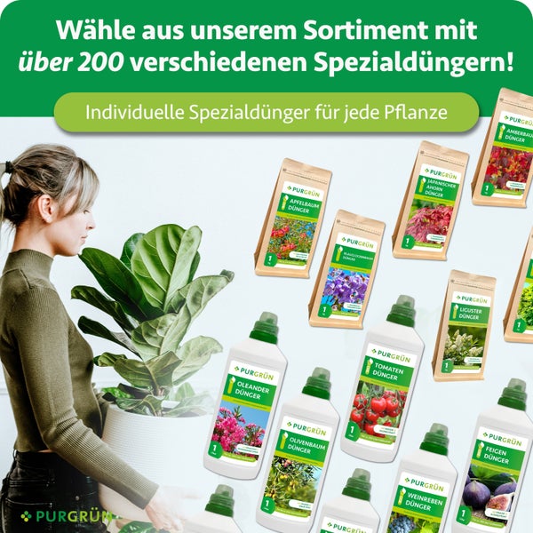 Eine Frau hält eine Zimmerpflanze neben verschiedenen Purgrün Spezialdünger Produkten in Flaschen und Tüten für diverse Pflanzenarten.