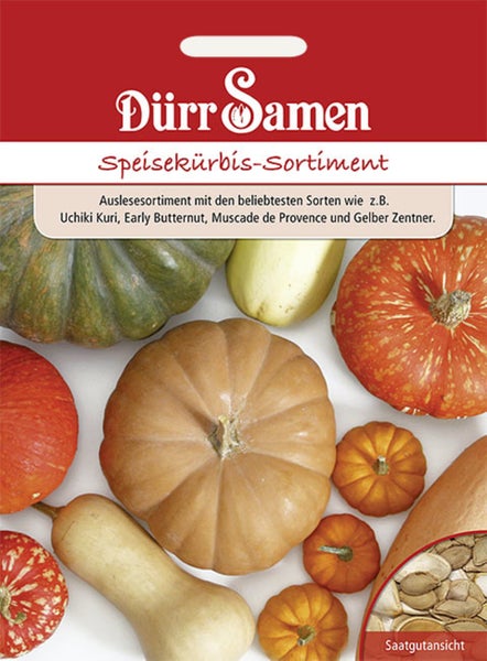 Samentüte für das Dürr Samen Speisekürbis-Sortiment mit Dürr Samen Logo, verschiedenen Kürbissorten und einer Detailansicht der Samen.