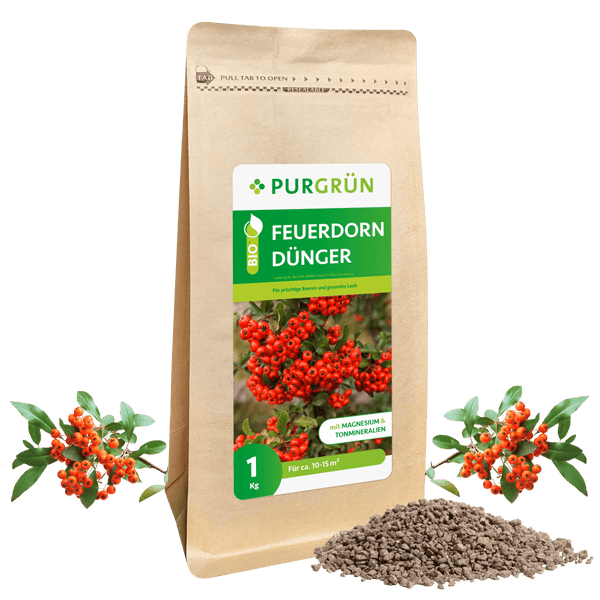 Purgrün Bio-Feuerdorn-Dünger 1 kg