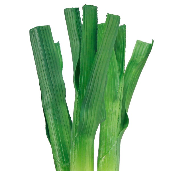 Schnittlauch im Detail