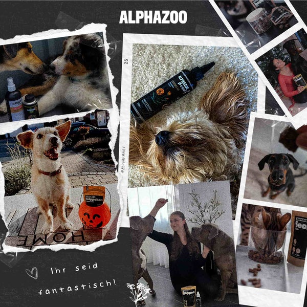 Collage mit AlphaZoo Produkten und Hunde-Haustierfotos