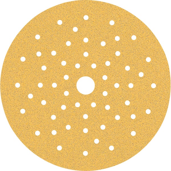 Bosch GEX 125-150 AVE Exzenterschleifer im Einsatz