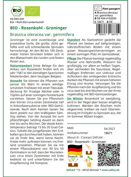 SAFLAX Garden to go - BIO - Rosenkohl - Groninger - Brassica oleracea var. gemmifera - 30 Samen - Mit Topf, Klima - Deckel und Anzuchtsubstrat