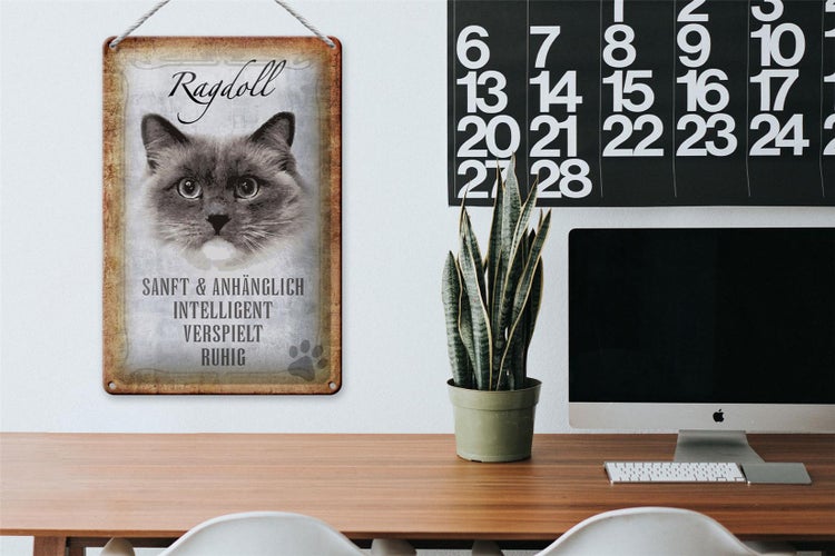 Blechschild Spruch 20x30cm Ragdoll Katze sanft Schild