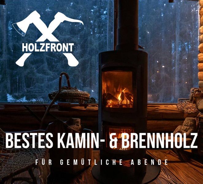 Premium Kaminholz im Karton - 100% Buche - Brennholz ofenfertig - technisch getrocknet und gereinigt