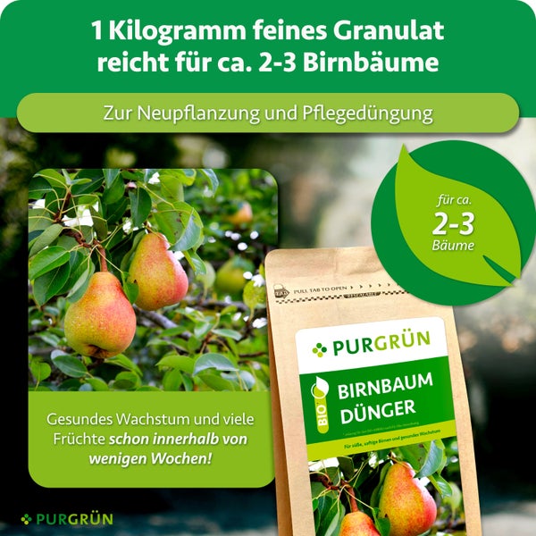 Purgrün Birnbaum Dünger in einer Verpackung mit Anwendungshinweisen für ein bis drei Bäume zur Neupflanzung und Pflegedüngung.