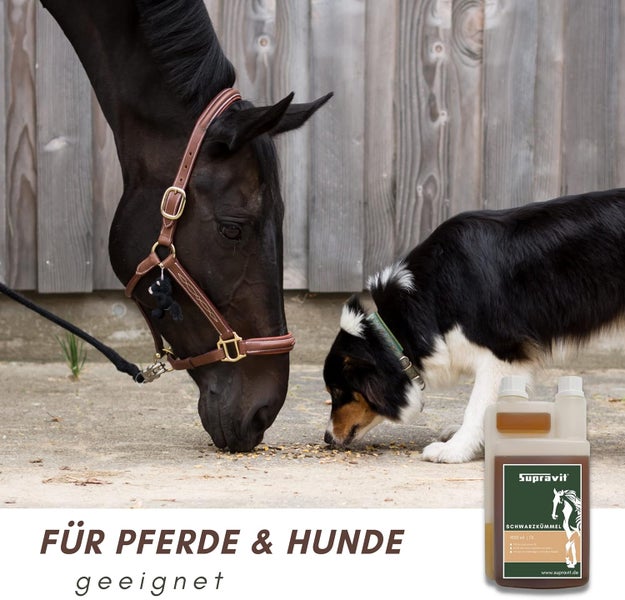 Pferde- und Hundefutter mit Supravit Logo
