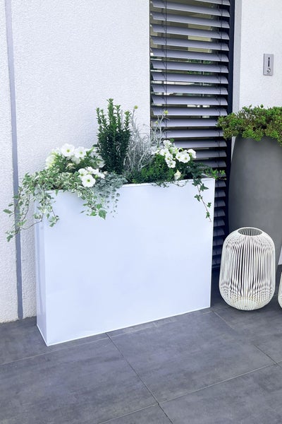 Moderner weißer Pflanztrog auf einer Terrasse, bepflanzt mit weißen Blumen und Efeu, neben einer dekorativen Laterne.