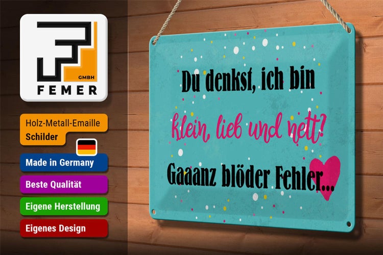 Blechschild Spruch 30x20cm du denkst ich bin klein lieb