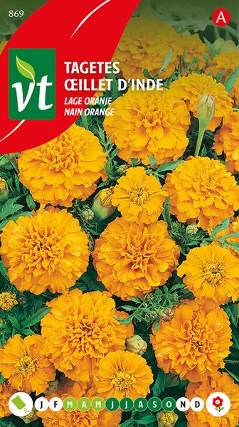 Tagetes Studentenblume Samenpackung