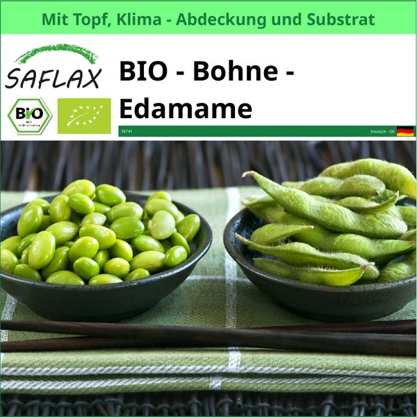 Saflax Bio Edamame Bohne mit Topf, Klimaabdeckung und Substrat