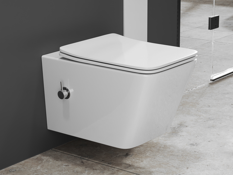 Wandhängendes WC mit Spülkasten und Betätigungsplatte