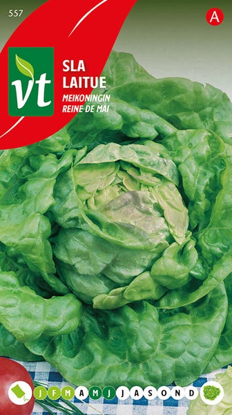 Salatsamen 'Maikönigin' auf Verpackung