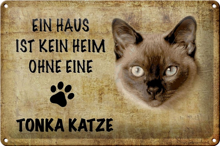 Blechschild Spruch 30x20cm Tonka Katze ohne kein Heim