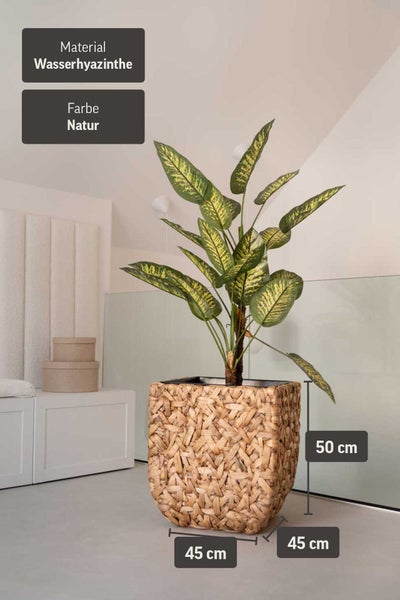 Quadratischer Pflanzkübel aus Wasserhyazinthe in Natur, 50 mal 45 mal 45 Zentimeter, mit grüner Pflanze in einem hellen Raum.