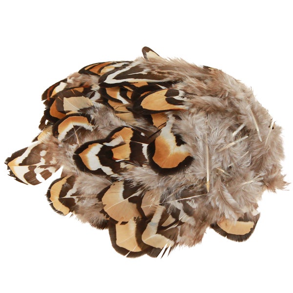 Dekorative Federn für Bastelarbeiten