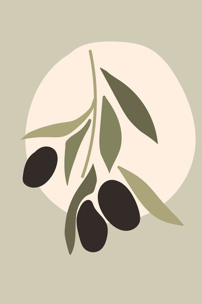 Illustration eines Olivenzweigs mit Oliven