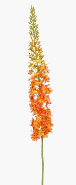 Künstliche Steppenkerze mit orangefarbenen Blüten und grünem Stiel.