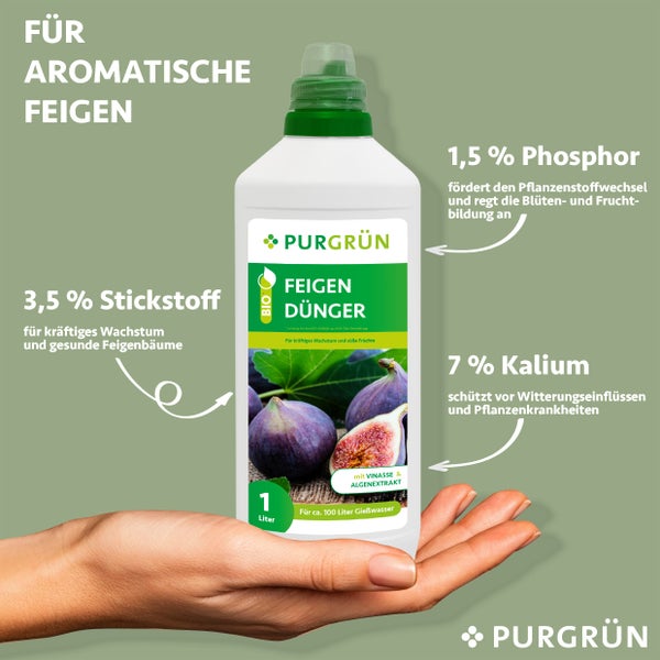 Purgrün Bio-Feigendünger 1 Liter