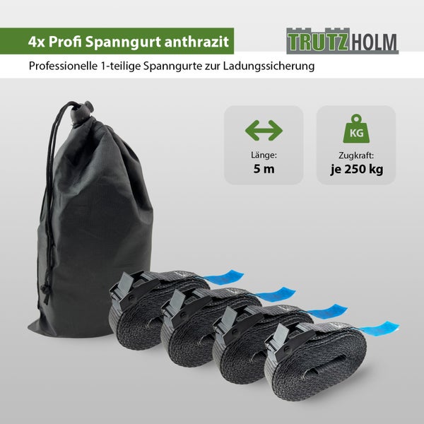 Set mit 4 Trutz Holm Spanngurten, 5 Meter Länge und 250 Kilogramm Zugkraft inklusive Aufbewahrungstasche zur Ladungssicherung.