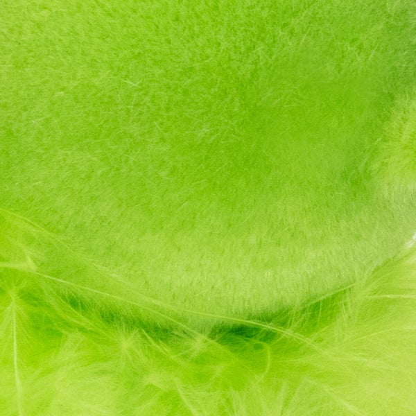 Nahaufnahme von grünen Federn