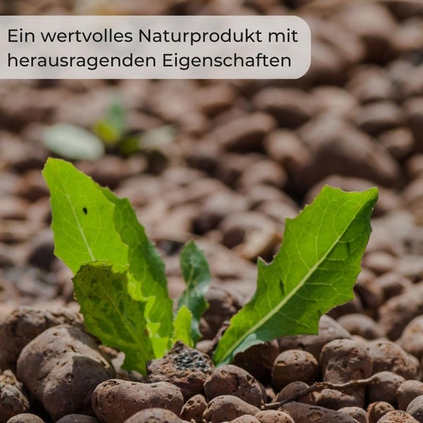 Illustration mit Maßangaben: 230 cm Breite und 160 cm Höhe
