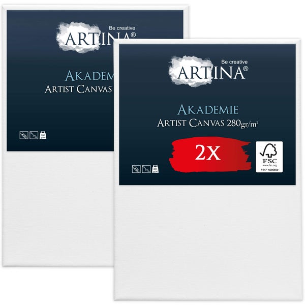 Artina Akademie Künstler Leinwand Doppelpack