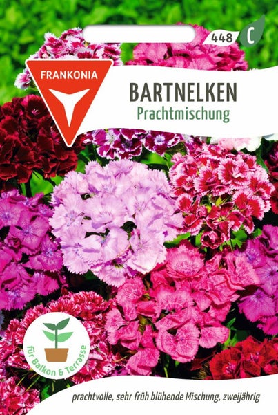 Bartnelken Prachtmischung Samenpackung für Balkon und Terrasse