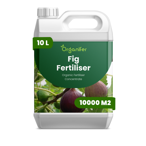 Organifer Feigendünger, organisches Düngerkonzentrat, 10 Liter, für 10000 Quadratmeter.
