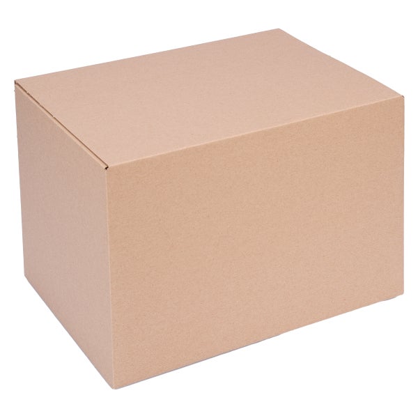 Karton mit den Maßen 310 mm x 220 mm x 225 mm