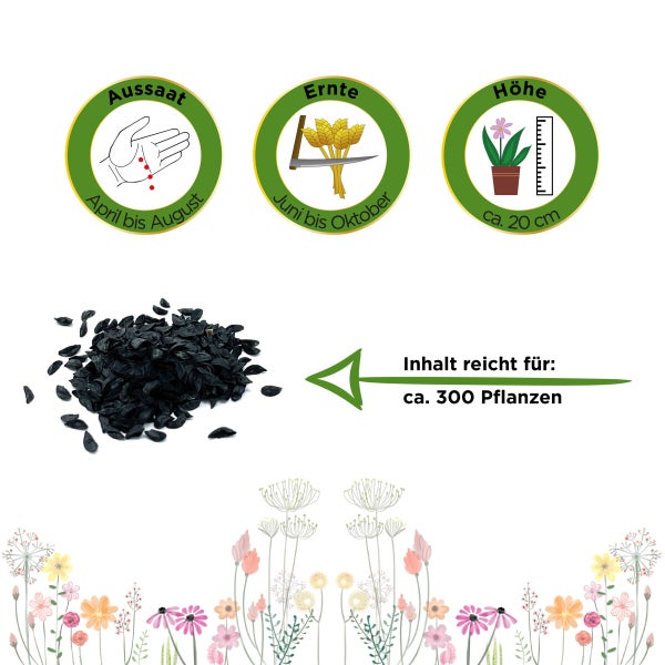 Schnittlauch Medium Leaf Samen von Deine Gartenwelt
