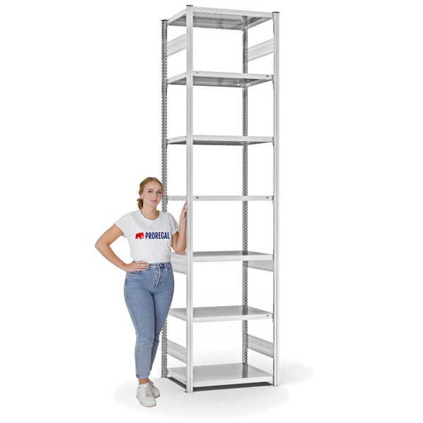 PROREGAL Fachbodenregal Stecksystem T-Profil Medium-Duty Grundregal HxBxT 300 x 75 x 50 cm 7 Ebenen Fachlast 230 kg Beidseitig Nutzbar Lichtgrau