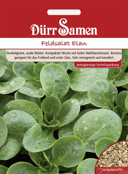 Dürr Samen Logo. Samentüte für Feldsalat Elan mit Abbildung von ovalen Blättern und Saatgut. Preisgünstige Vorteilspackung.