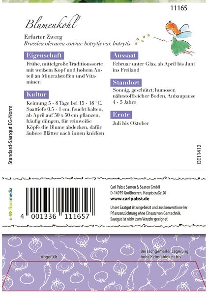 Rückseite einer Samentüte für Blumenkohl Erfurter Zwerg mit Anbauanleitungen für Aussaat, Standort und Ernte von Carl Pabst Samen und Saaten.
