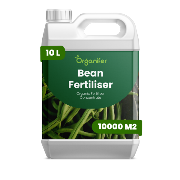 Organifer Bohnendünger, organisches Düngerkonzentrat, 10 Liter, Reichweite für 10000 Quadratmeter.
