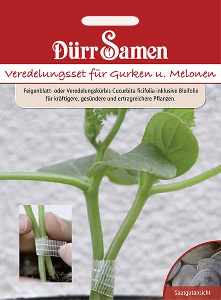 Dürr Samen Logo auf einem Veredelungsset für Gurken und Melonen mit Samen für Feigenblattkürbis und Bleifolie.