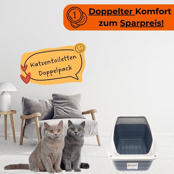 Zwei Katzen vor einer Katzentoilette
